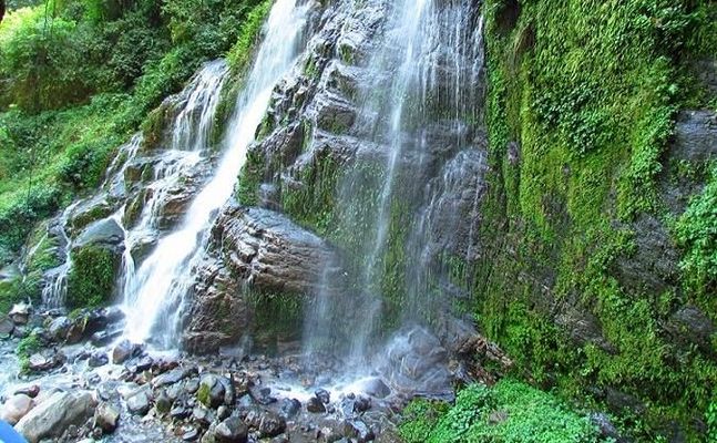 1467717140_1pili 2.jpg